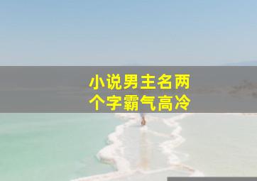 小说男主名两个字霸气高冷