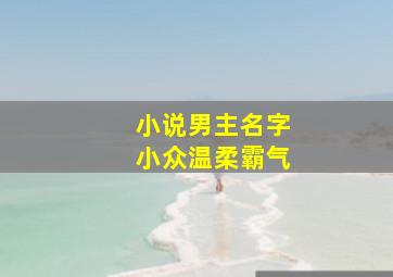 小说男主名字小众温柔霸气