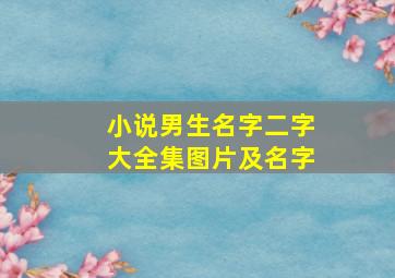 小说男生名字二字大全集图片及名字