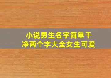 小说男生名字简单干净两个字大全女生可爱