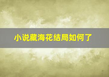 小说藏海花结局如何了