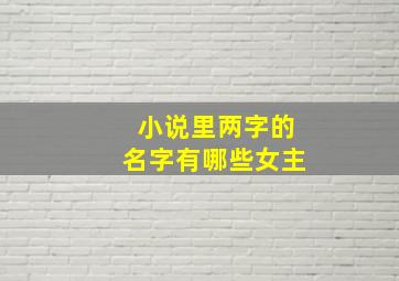 小说里两字的名字有哪些女主