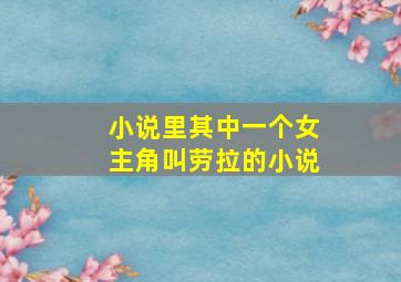 小说里其中一个女主角叫劳拉的小说