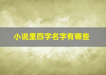 小说里四字名字有哪些