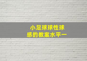 小足球球性球感的教案水平一