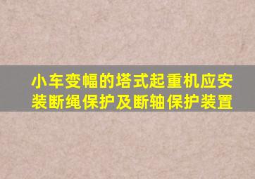 小车变幅的塔式起重机应安装断绳保护及断轴保护装置