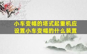 小车变幅的塔式起重机应设置小车变幅的什么装置