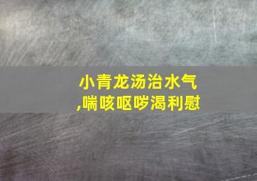 小青龙汤治水气,喘咳呕哕渴利慰