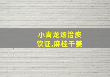 小青龙汤治痰饮证,麻桂干姜