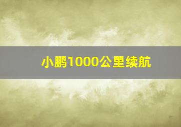 小鹏1000公里续航