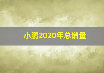 小鹏2020年总销量