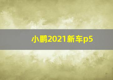 小鹏2021新车p5