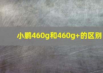 小鹏460g和460g+的区别