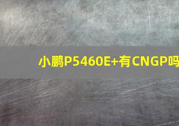 小鹏P5460E+有CNGP吗