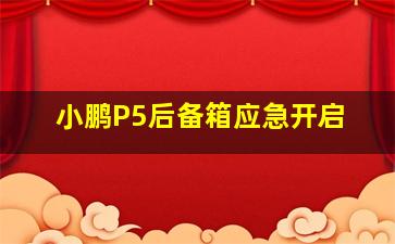 小鹏P5后备箱应急开启