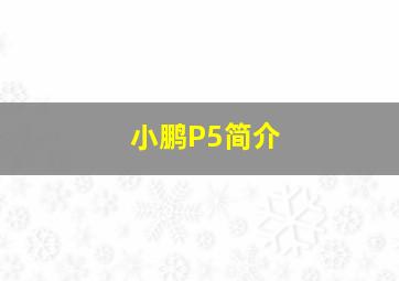 小鹏P5简介