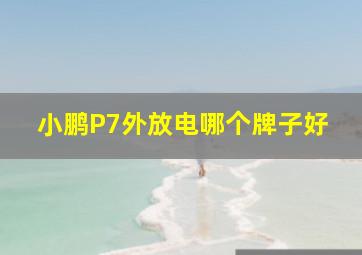 小鹏P7外放电哪个牌子好