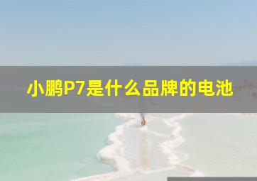 小鹏P7是什么品牌的电池