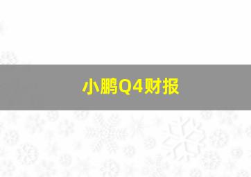 小鹏Q4财报