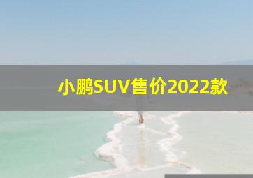 小鹏SUV售价2022款