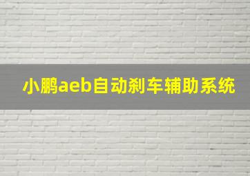 小鹏aeb自动刹车辅助系统