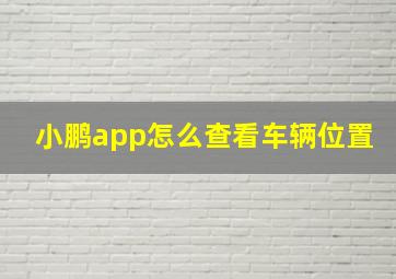 小鹏app怎么查看车辆位置