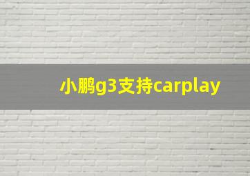 小鹏g3支持carplay