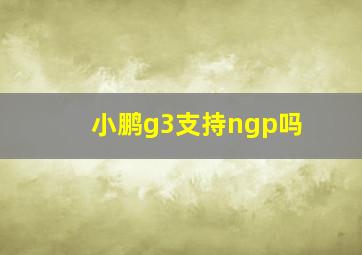 小鹏g3支持ngp吗