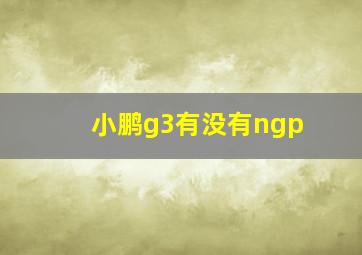 小鹏g3有没有ngp