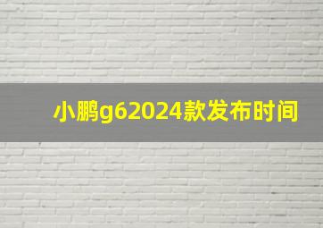 小鹏g62024款发布时间