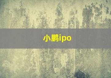 小鹏ipo