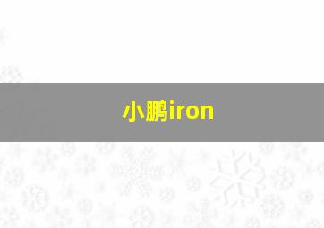 小鹏iron