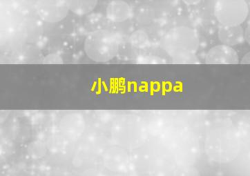 小鹏nappa