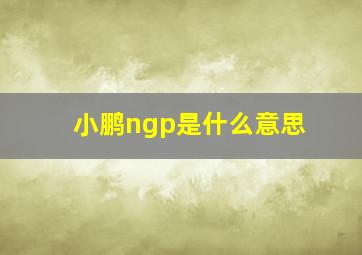 小鹏ngp是什么意思