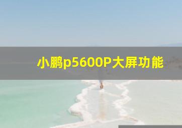 小鹏p5600P大屏功能