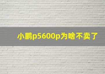 小鹏p5600p为啥不卖了