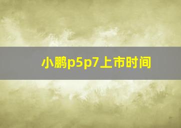 小鹏p5p7上市时间