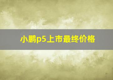 小鹏p5上市最终价格