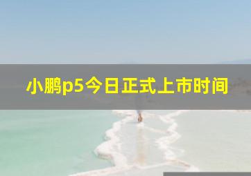 小鹏p5今日正式上市时间