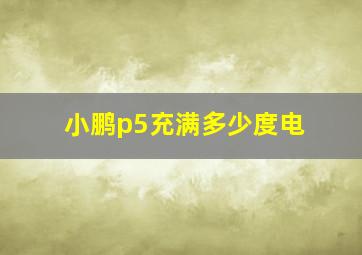 小鹏p5充满多少度电