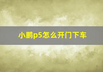 小鹏p5怎么开门下车