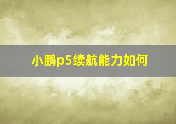 小鹏p5续航能力如何