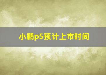 小鹏p5预计上市时间