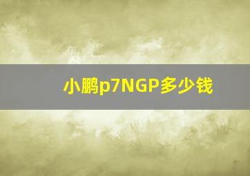 小鹏p7NGP多少钱