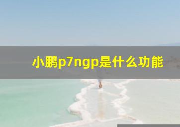 小鹏p7ngp是什么功能