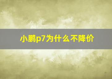 小鹏p7为什么不降价