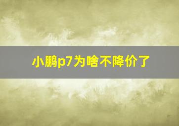 小鹏p7为啥不降价了