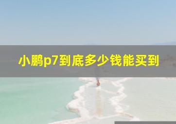 小鹏p7到底多少钱能买到