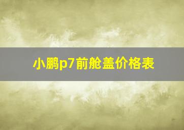 小鹏p7前舱盖价格表