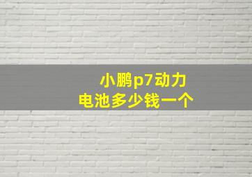 小鹏p7动力电池多少钱一个